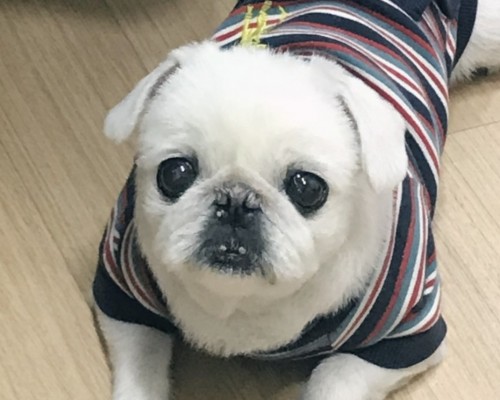 햇님이[2022.03.26]